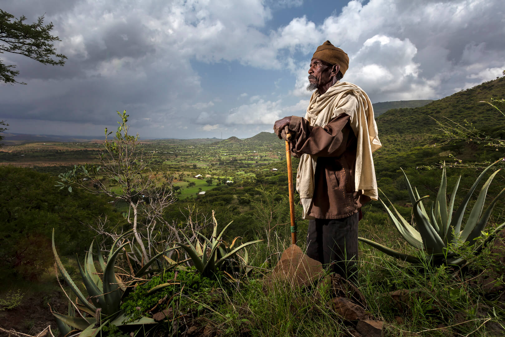 Brent Stirton - Quand la forêt renaît Brent Stirton - Quand la forêt renaît