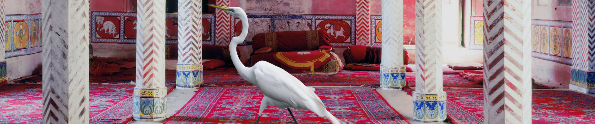 Karen Knorr - Nouvelles fables Karen Knorr - Nouvelles fables