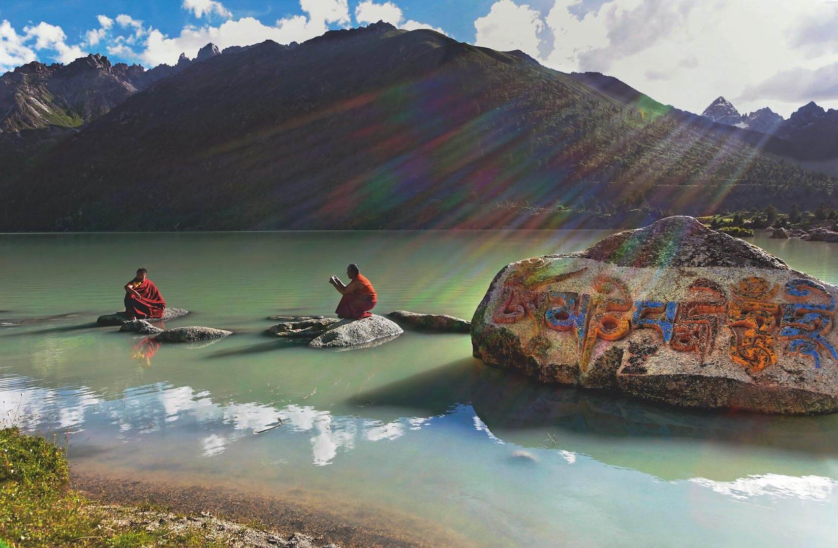 Matthieu Ricard - Un demi-siècle dans l'himalaya