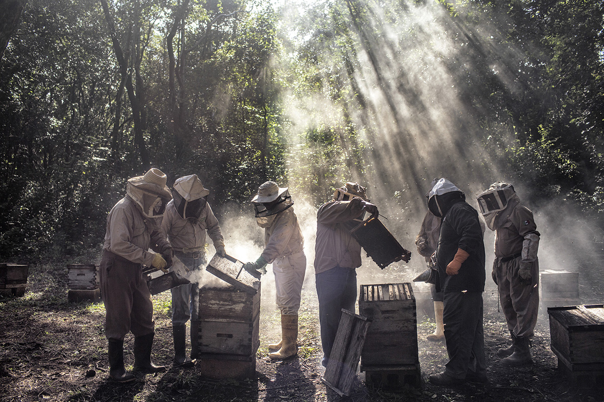 Nadia Shira Cohen / God's Honey Nadia Shira Cohen_FestivalPhotoLaGacilly2020