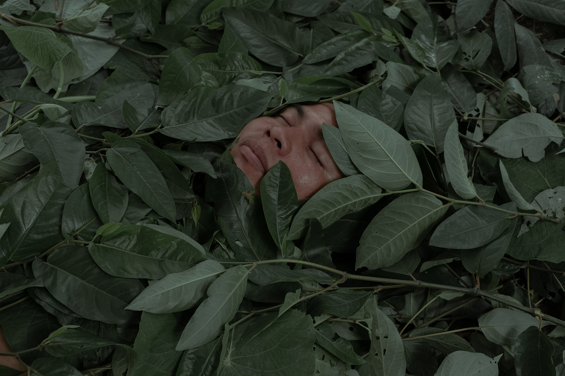 Florence Goupil / Shipibo-Konibo: Healing plants Florence_Goupil_FestivalPhotoLaGacilly2021