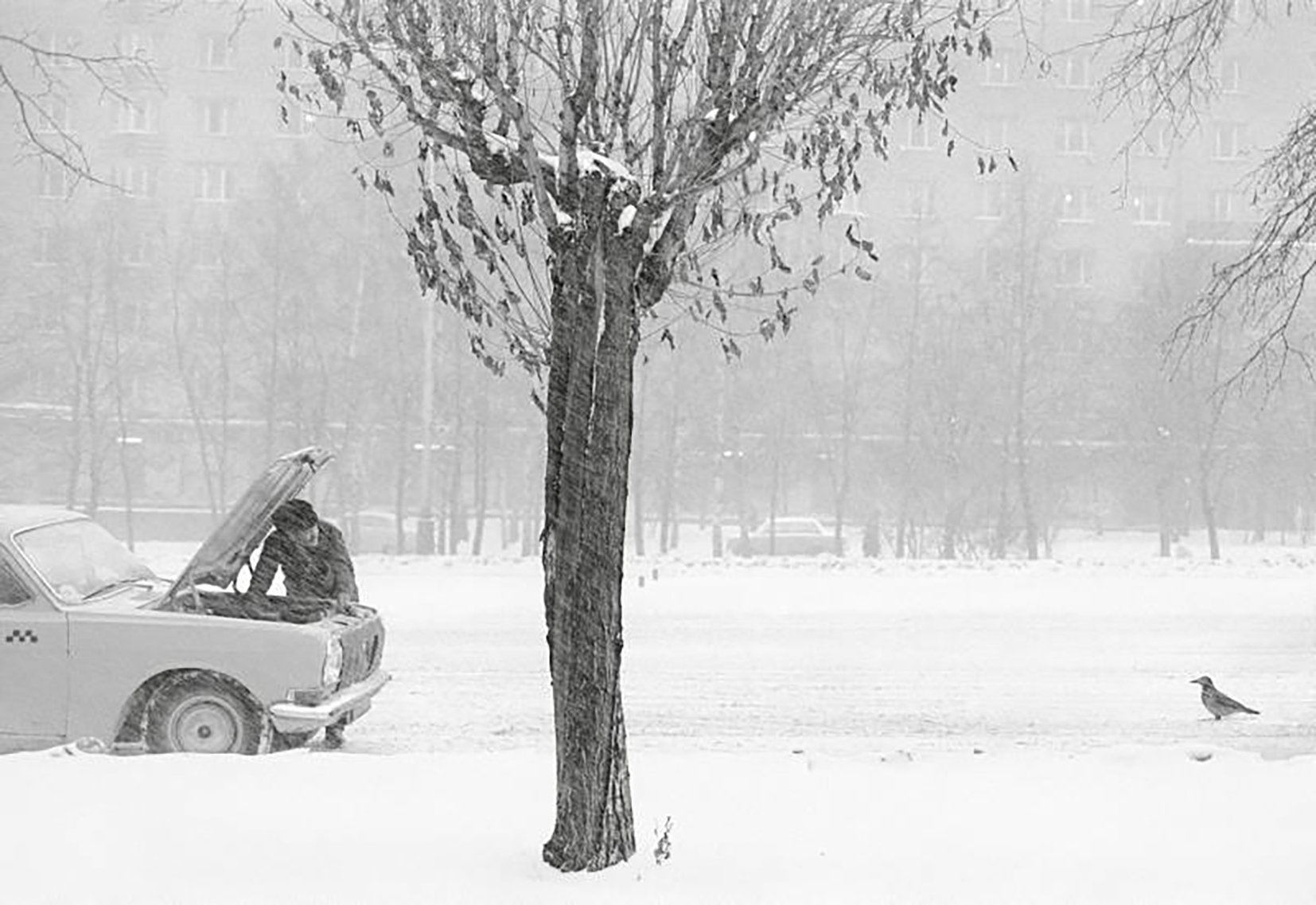 Pentti Sammallahti / Here Far Away Pentti_Sammallahti__FestivalPhotoLaGacilly2021