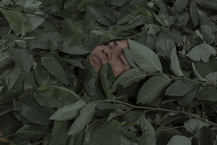 Florence Goupil / Shipibo-Konibo: Healing plants Florence_Goupil_FestivalPhotoLaGacilly2021