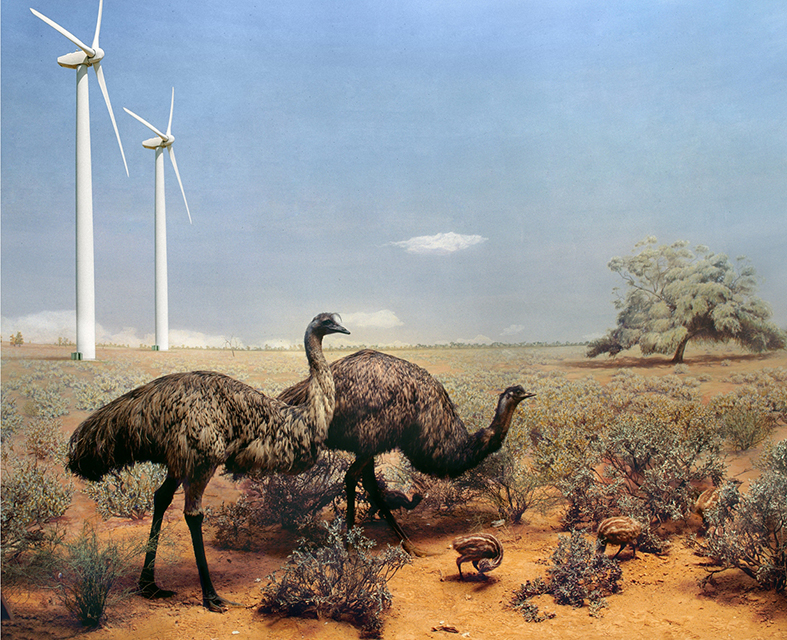 © Anne Zahalka • Exhibition Fragments of wild life © Anne Zahalka • Exhibition Fragments of wild life