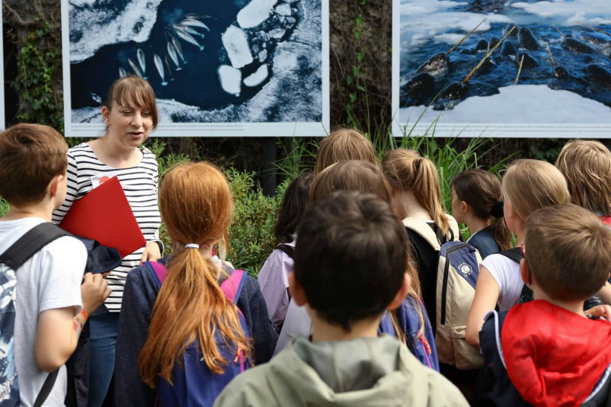Visites guidées