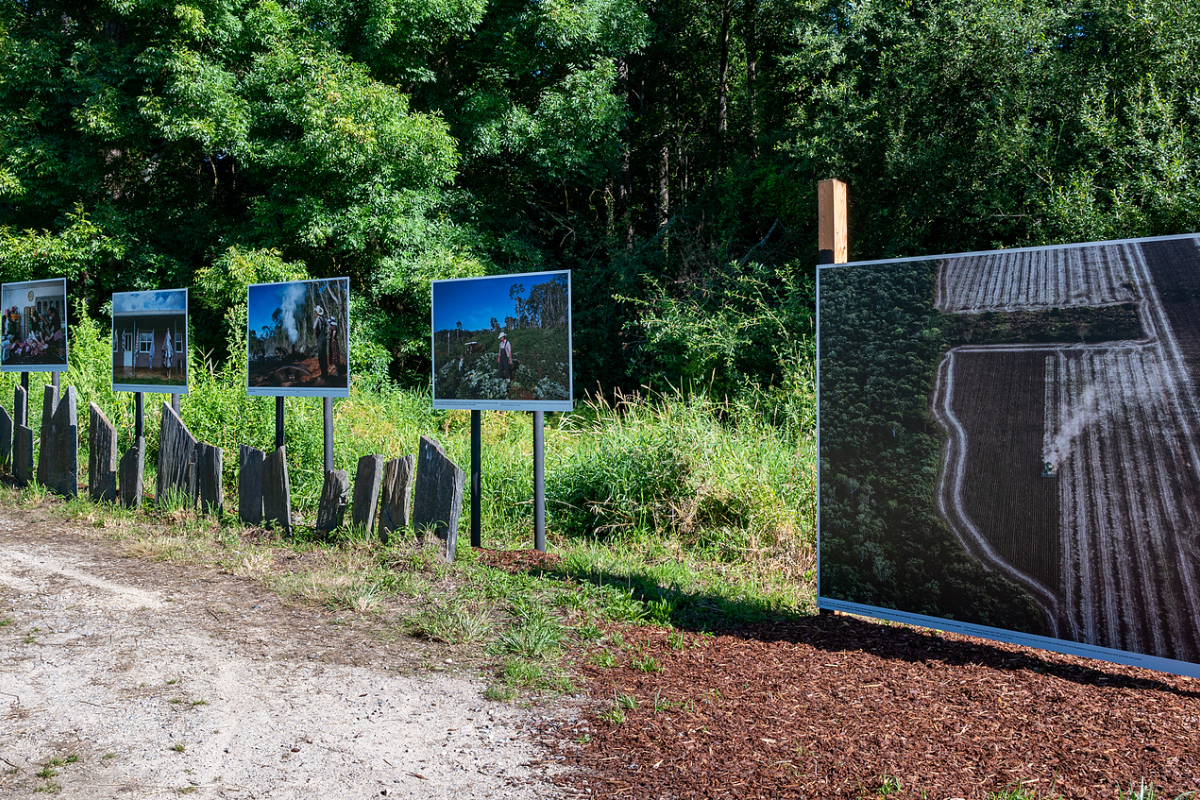 © Jean-Michel Niron / Chemin des libellules Gallery La Gacilly 2020