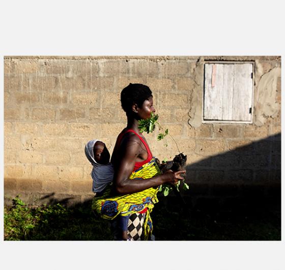 Axelle de Russé - Togo les jardiniers de la forêt Axelle de Russé - Togo les jardiniers de la forêt