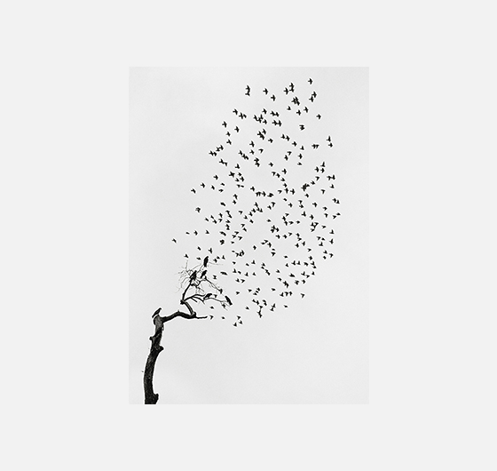 Pentti Sammallahti / Ici au loin Pentti_Sammallahti_FestivalPhotoLaGacilly2021