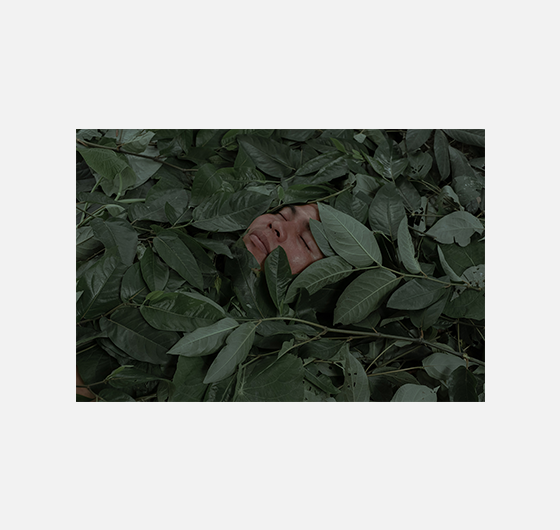 Florence Goupil / Shipibo-Konibo : Les plantes guérisseuses Florence_Goupil_FestivalPhotoLaGacilly2021