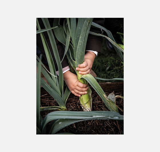 Ulla Lohmann / Les gardiens de la biodiversité Ulla_Lohmann_FestivalPhotoLaGacilly2021
