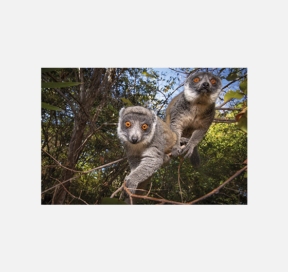 Ulla Lohmann / Les gardiens de la biodiversité Ulla_Lohmann_FestivalPhotoLaGacilly2021