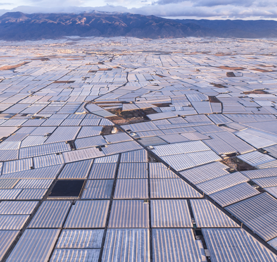 © George Steinmetz • Exposition Nourrir la planète