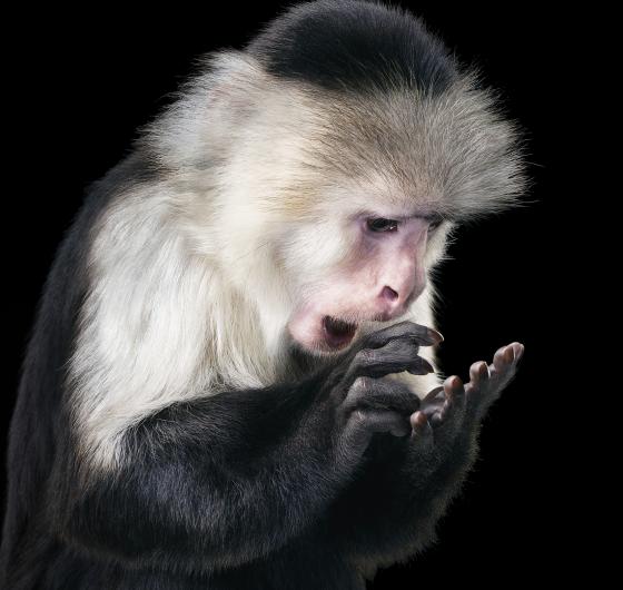 Tim-Flach-copie.jpg Tim-Flach-copie.jpg