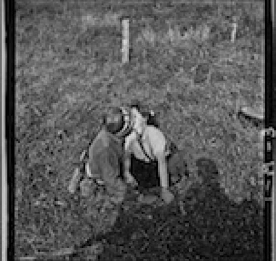 arton345.jpg arton345.jpg