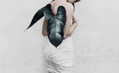 Vee Speers