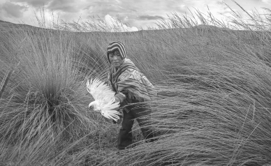 © Alessandro Cinque|Photo Award Terre Solidaire • Exhibition Soiled earth, damaged bodies