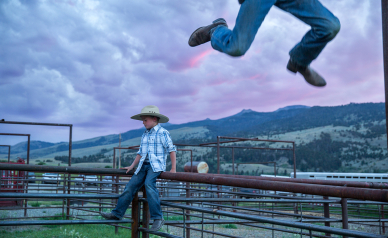 © Louise Johns • Exhibition In the vast, wild west