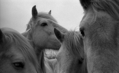 © Jane Evelyn Atwood