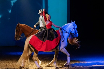 Théâtre Equestre
