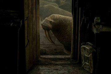 Evgenia Arbugaeva • Hyperborea