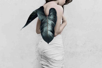 Vee Speers