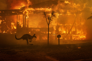© Matthew Abbott • Exhibition Fires and counter-fires