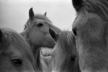 © Jane Evelyn Atwood