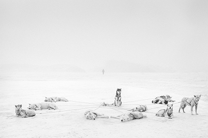 Ragnar_Axelsson__FestivalPhotoLaGacilly2021
