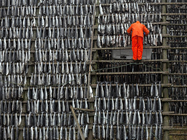 Jonas_Bendiksen__FestivalPhotoLaGacilly2021
