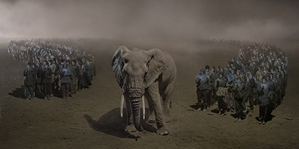 Nick_Brandt__FestivalPhotoLaGacilly2021