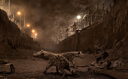 Nick_Brandt__FestivalPhotoLaGacilly2021