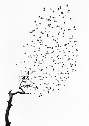 Pentti_Sammallahti__FestivalPhotoLaGacilly2021