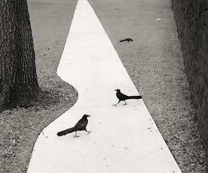 Pentti_Sammallahti__FestivalPhotoLaGacilly2021