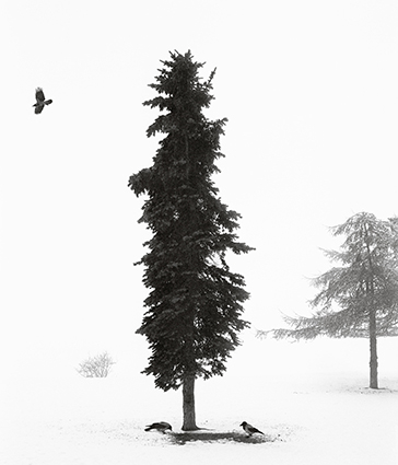 Pentti_Sammallahti__FestivalPhotoLaGacilly2021