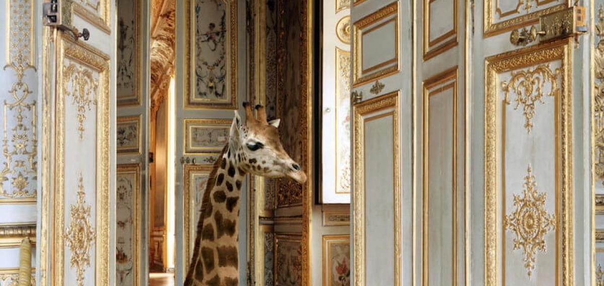 Karen Knorr - Nouvelles fables