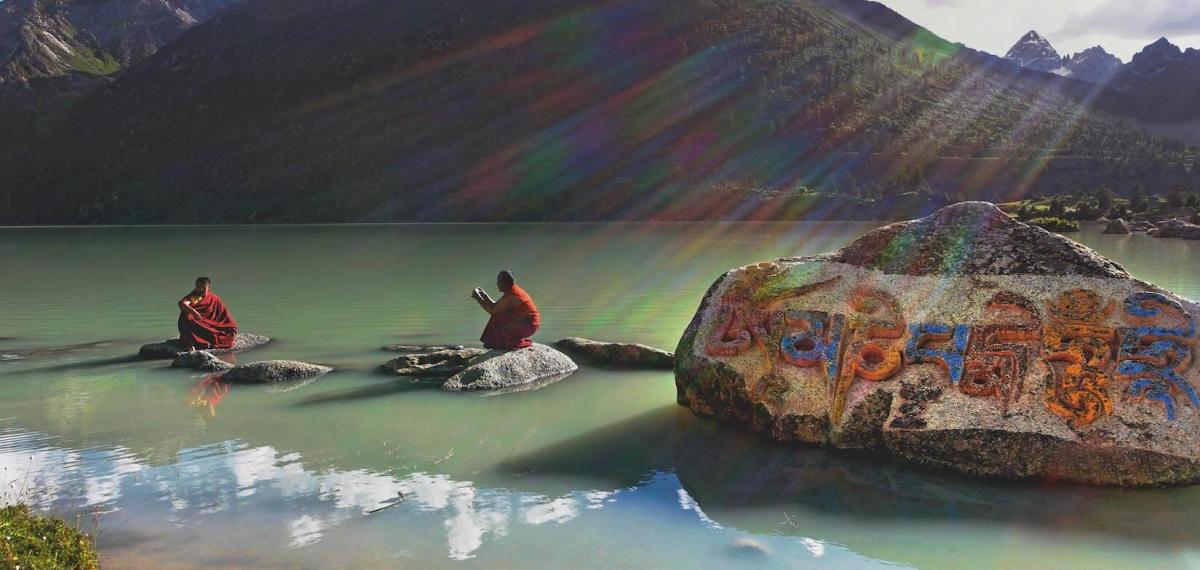 Matthieu Ricard - Un demi-siècle dans l'himalaya Matthieu Ricard - Un demi-siècle dans l'himalaya