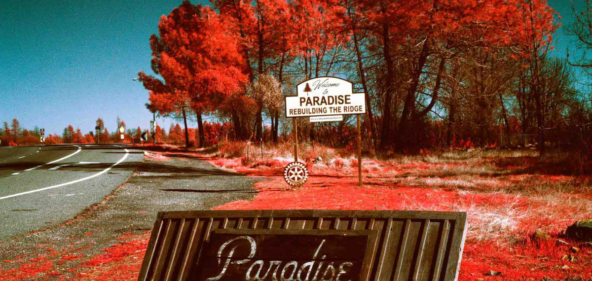 Maxime Riché • Paradise