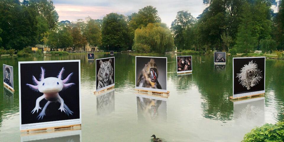Festival Photo La Gacilly Baden photos de Teich Tim Flach